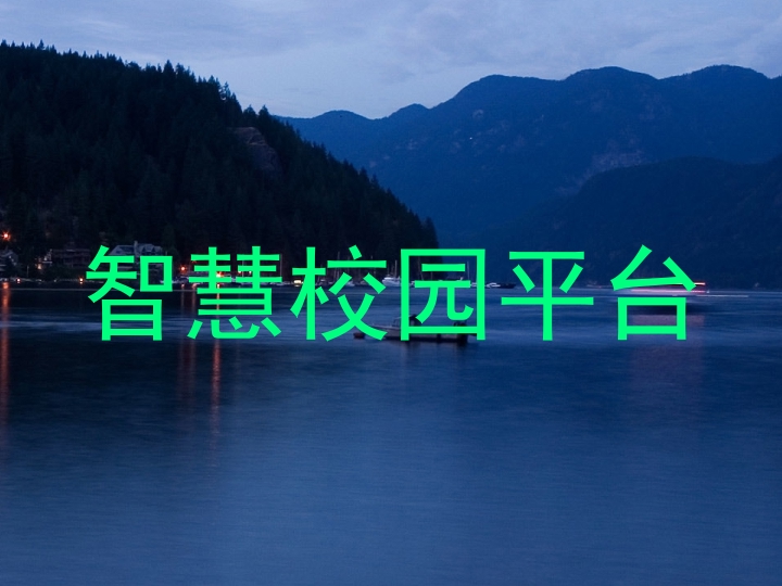 智慧校园平台