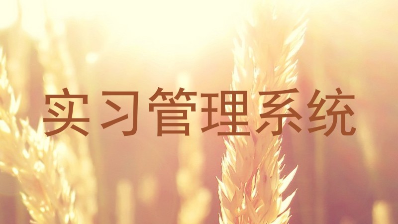 实习管理系统