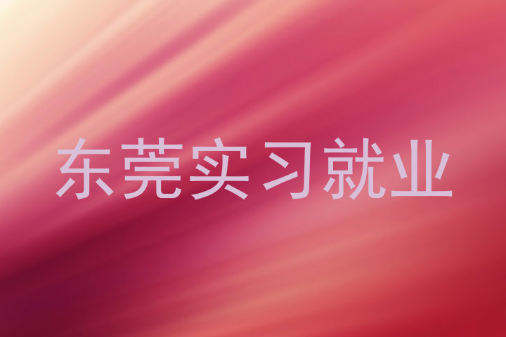 东莞实习就业