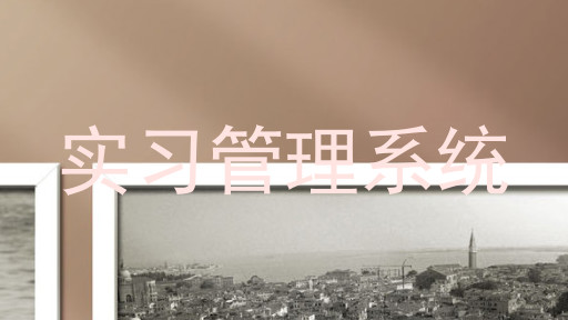 实习管理系统