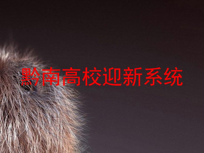 黔南高校迎新系统