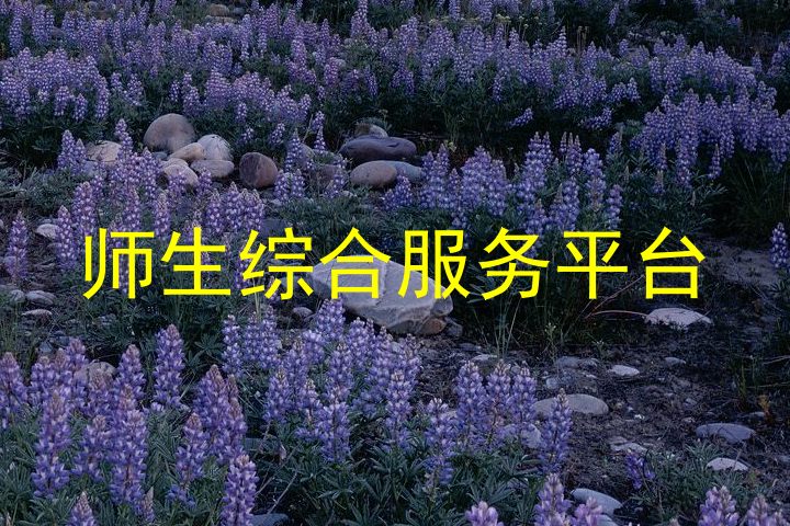 师生综合服务平台