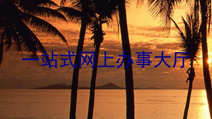 一站式网上办事大厅