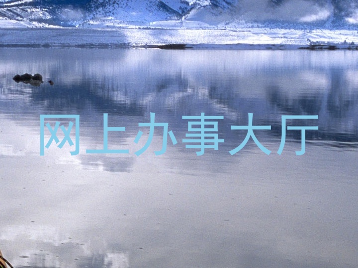 网上办事大厅