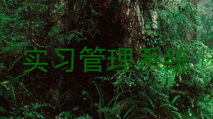 实习管理系统