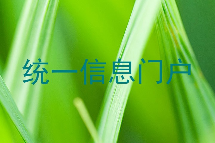 统一信息门户