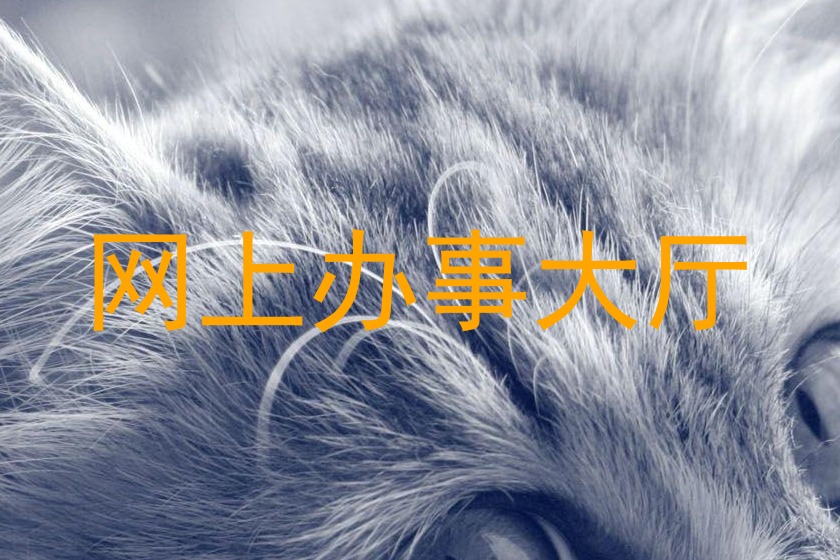 网上办事大厅