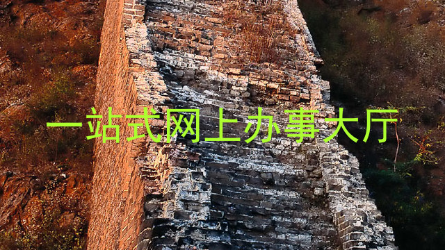一站式网上办事大厅