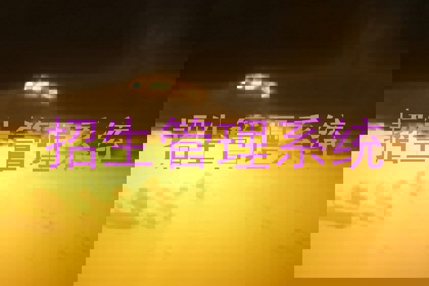 招生管理系统
