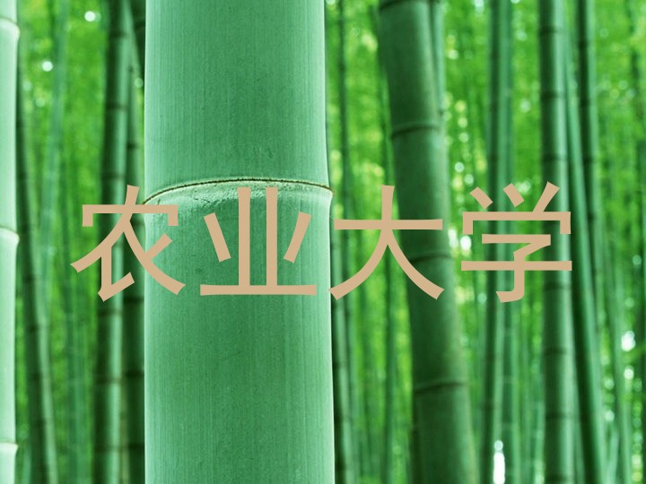 农业大学