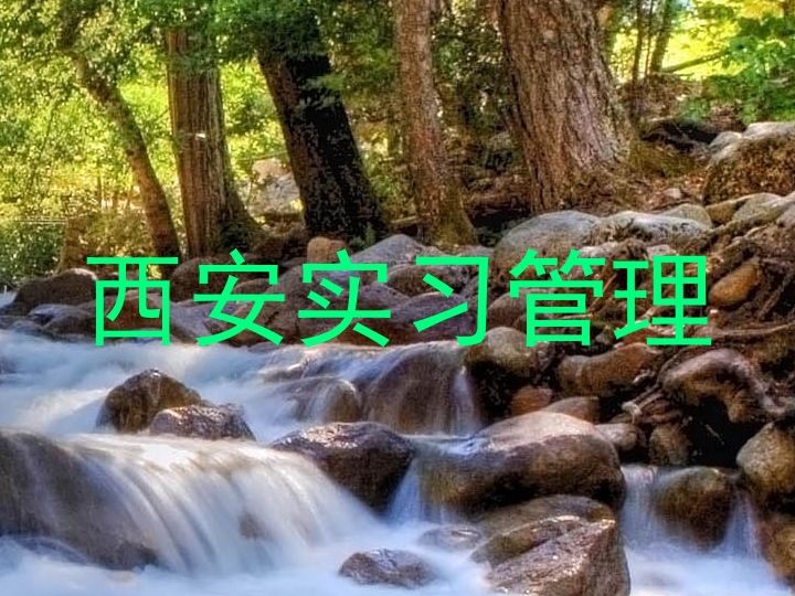 西安实习管理