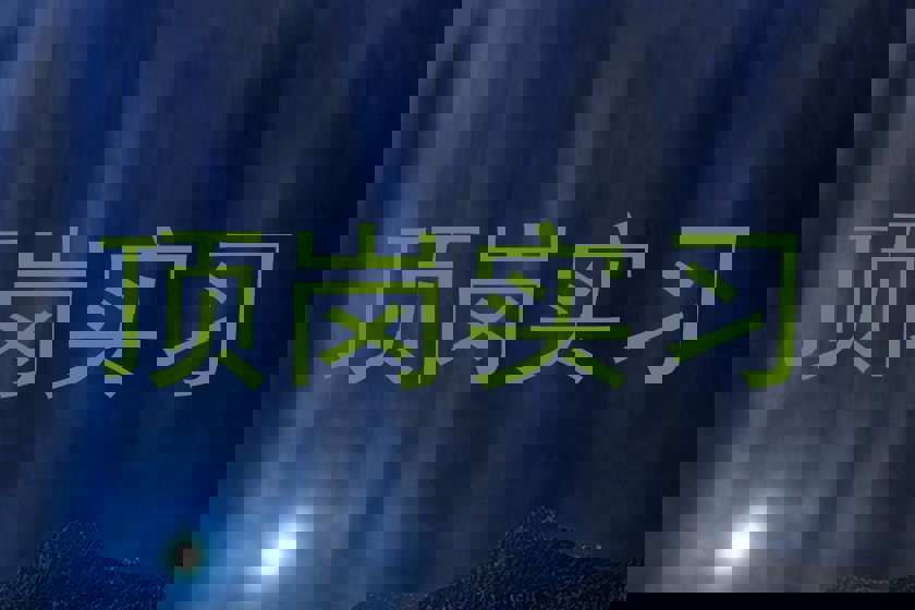 顶岗实习