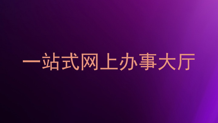 一站式网上办事大厅