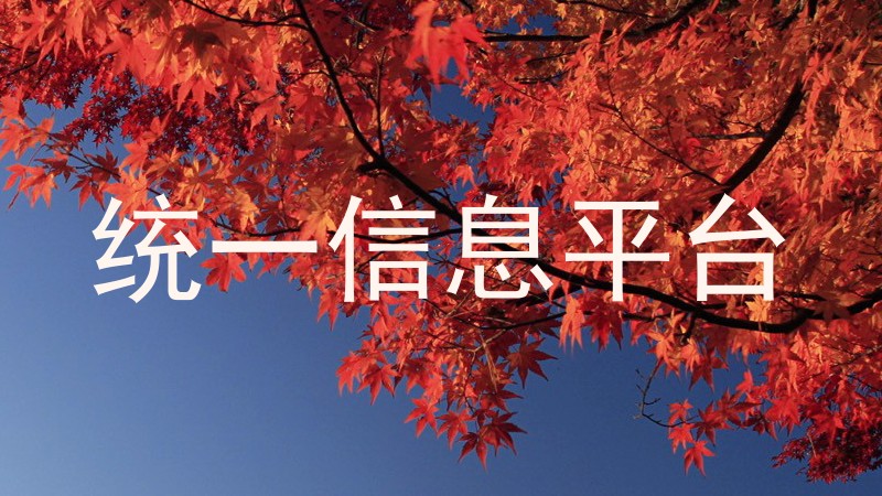 统一信息平台