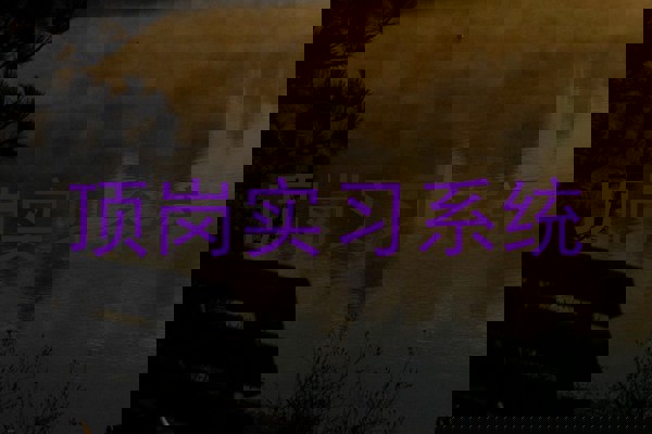 顶岗实习系统
