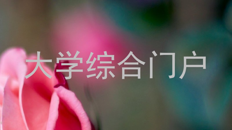 大学综合门户
