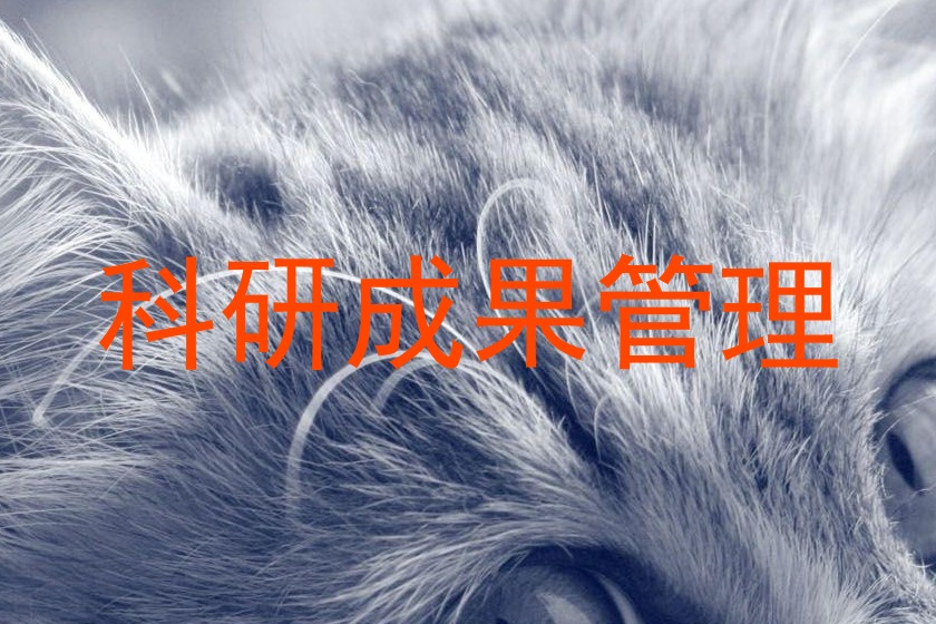 科研成果管理