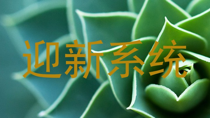 迎新系统