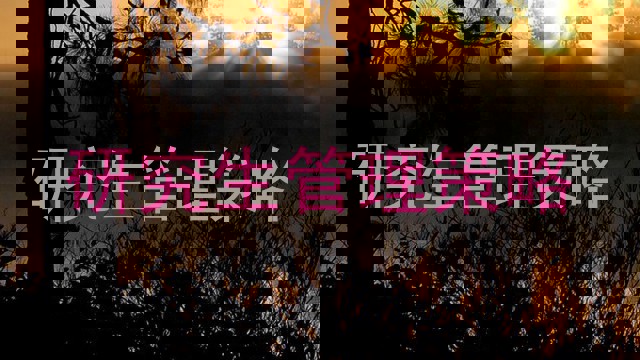 研究生管理策略
