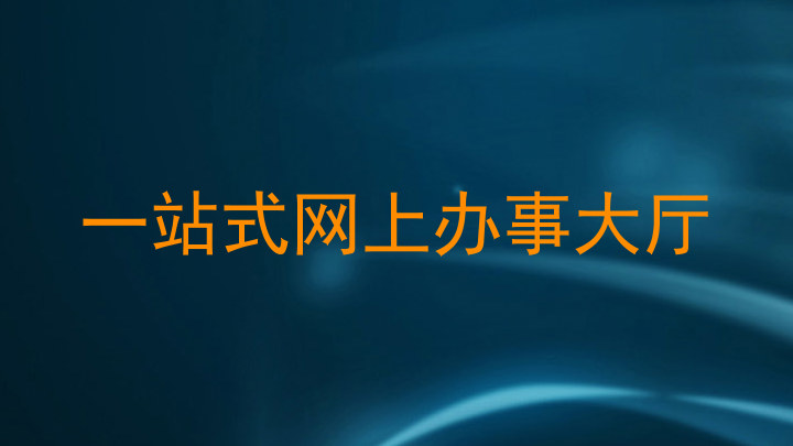 一站式网上办事大厅