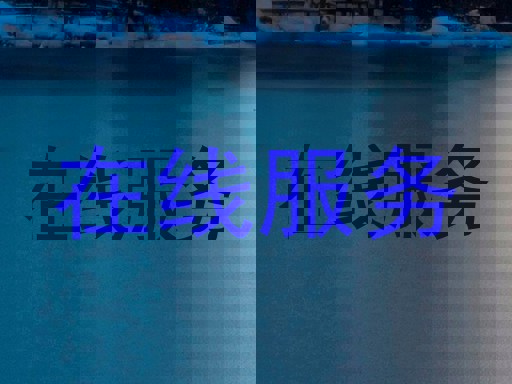 在线服务