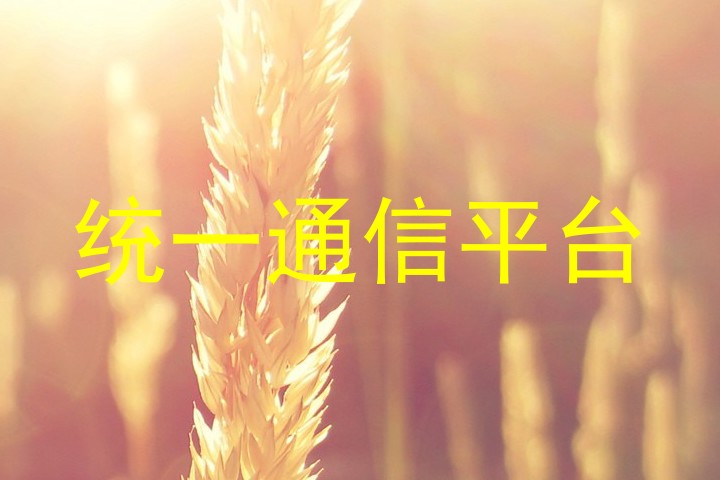 统一通信平台