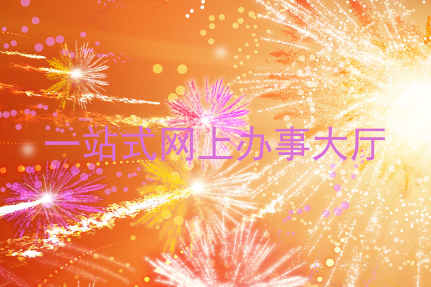 一站式网上办事大厅