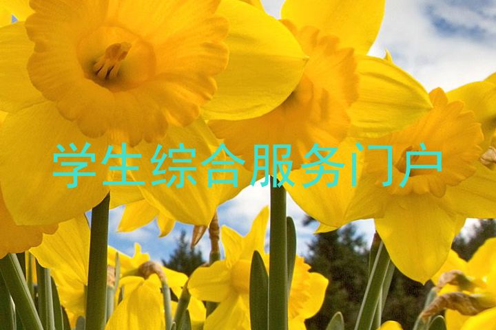 学生综合服务门户