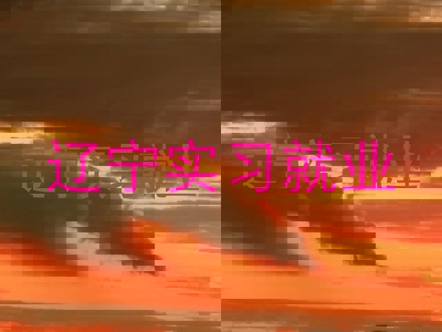 辽宁实习就业
