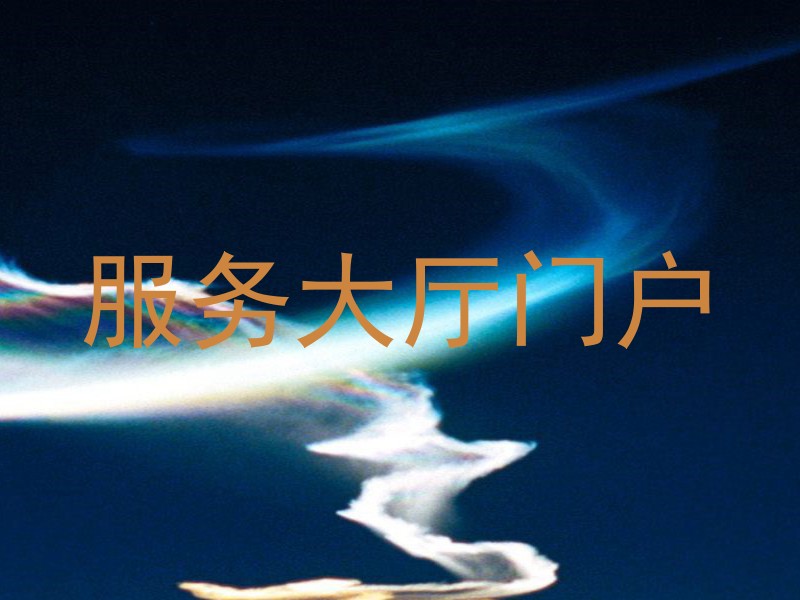 服务大厅门户