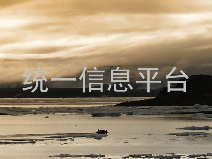 统一信息平台