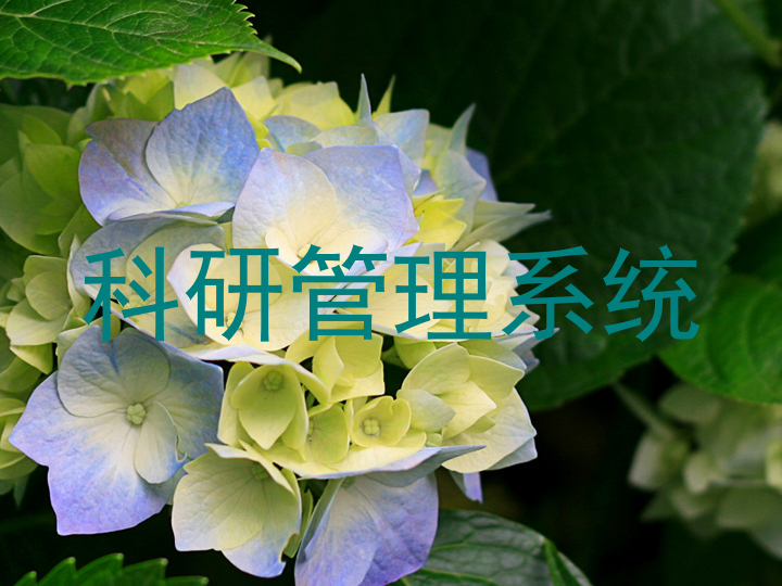 科研管理系统