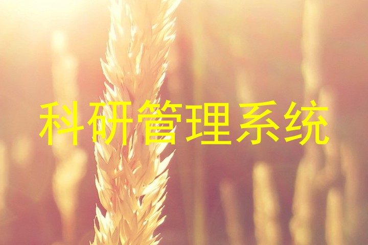 科研管理系统