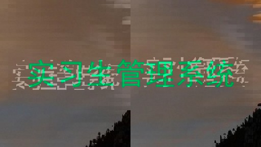 实习生管理系统