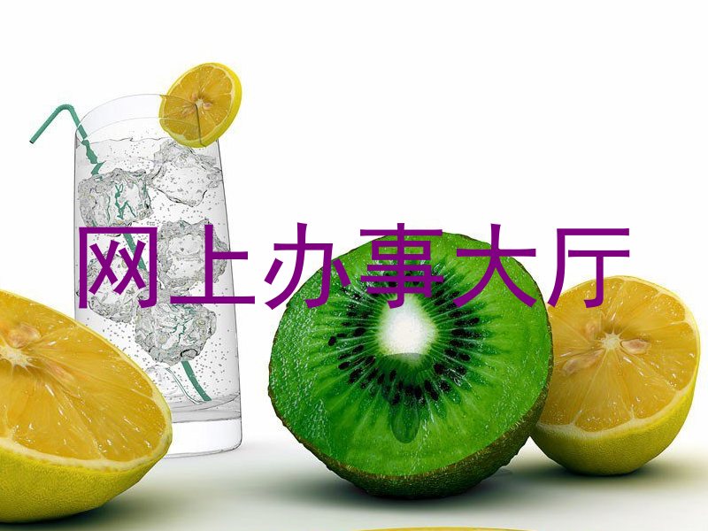 网上办事大厅