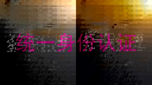统一身份认证