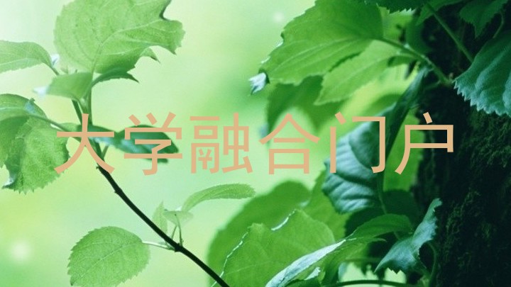 大学融合门户