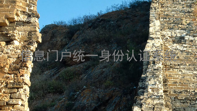 信息门户统一身份认证系统