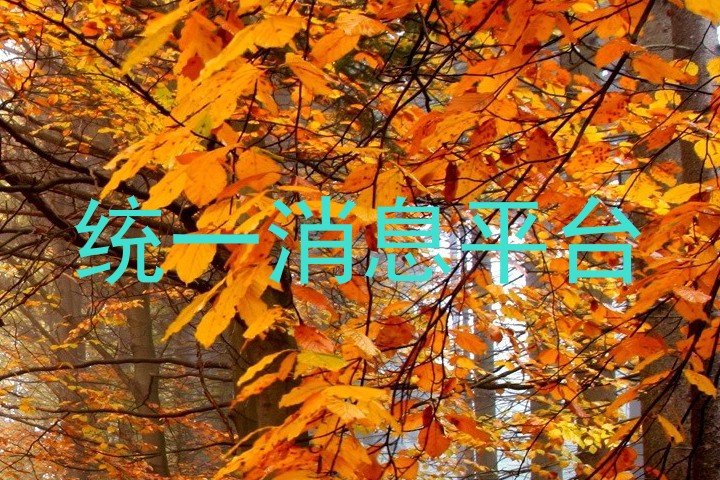 统一消息平台