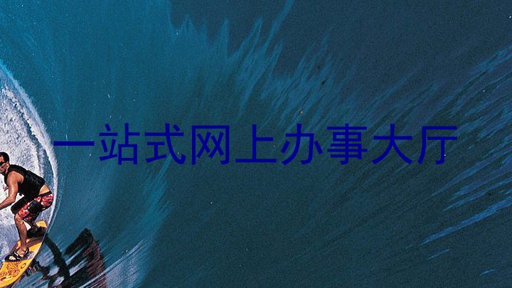 一站式网上办事大厅
