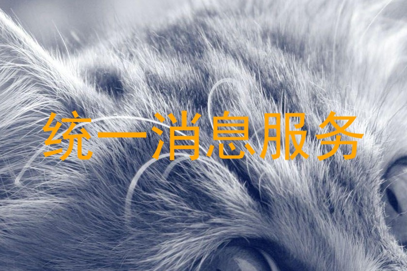 统一消息服务