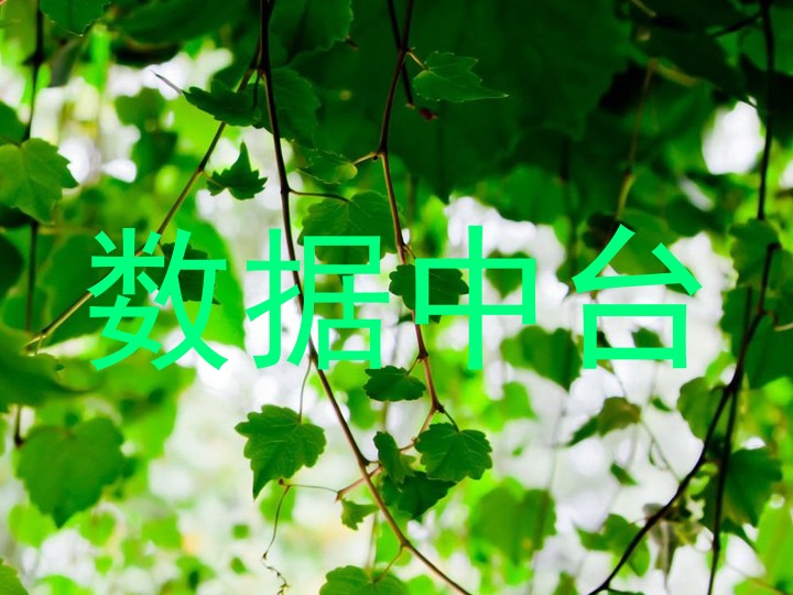 数据中台