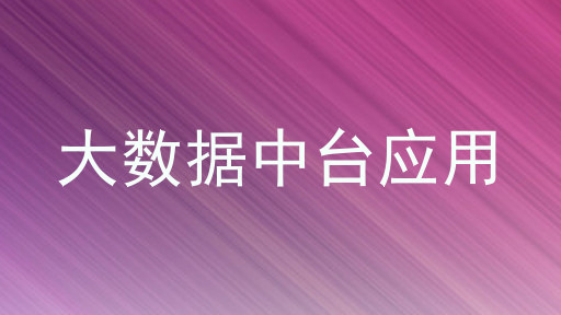 大数据中台应用