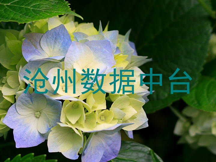 沧州数据中台
