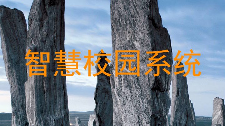 智慧校园系统