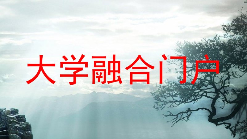 大学融合门户