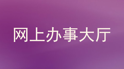 网上办事大厅