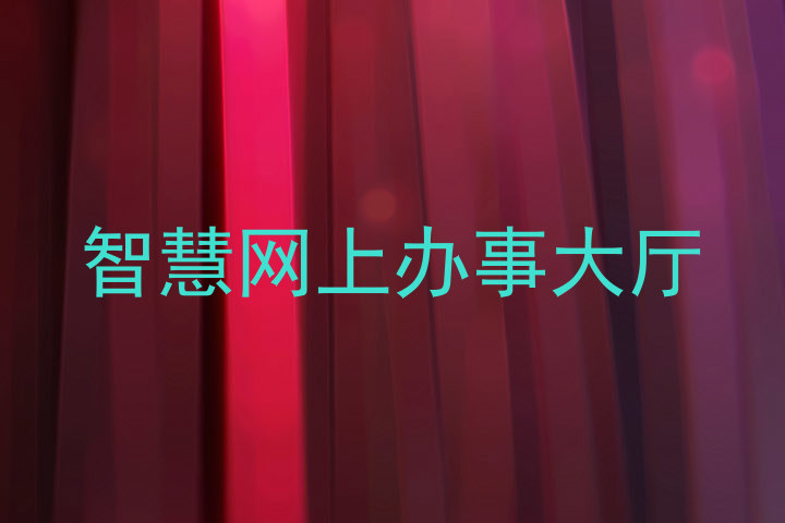 智慧网上办事大厅