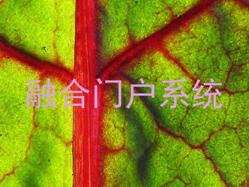 融合门户系统
