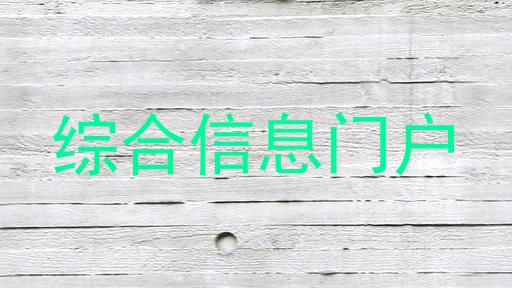 综合信息门户